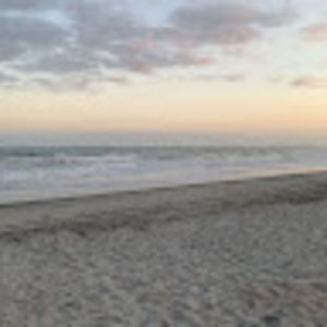 Meet your Posher, Leigha